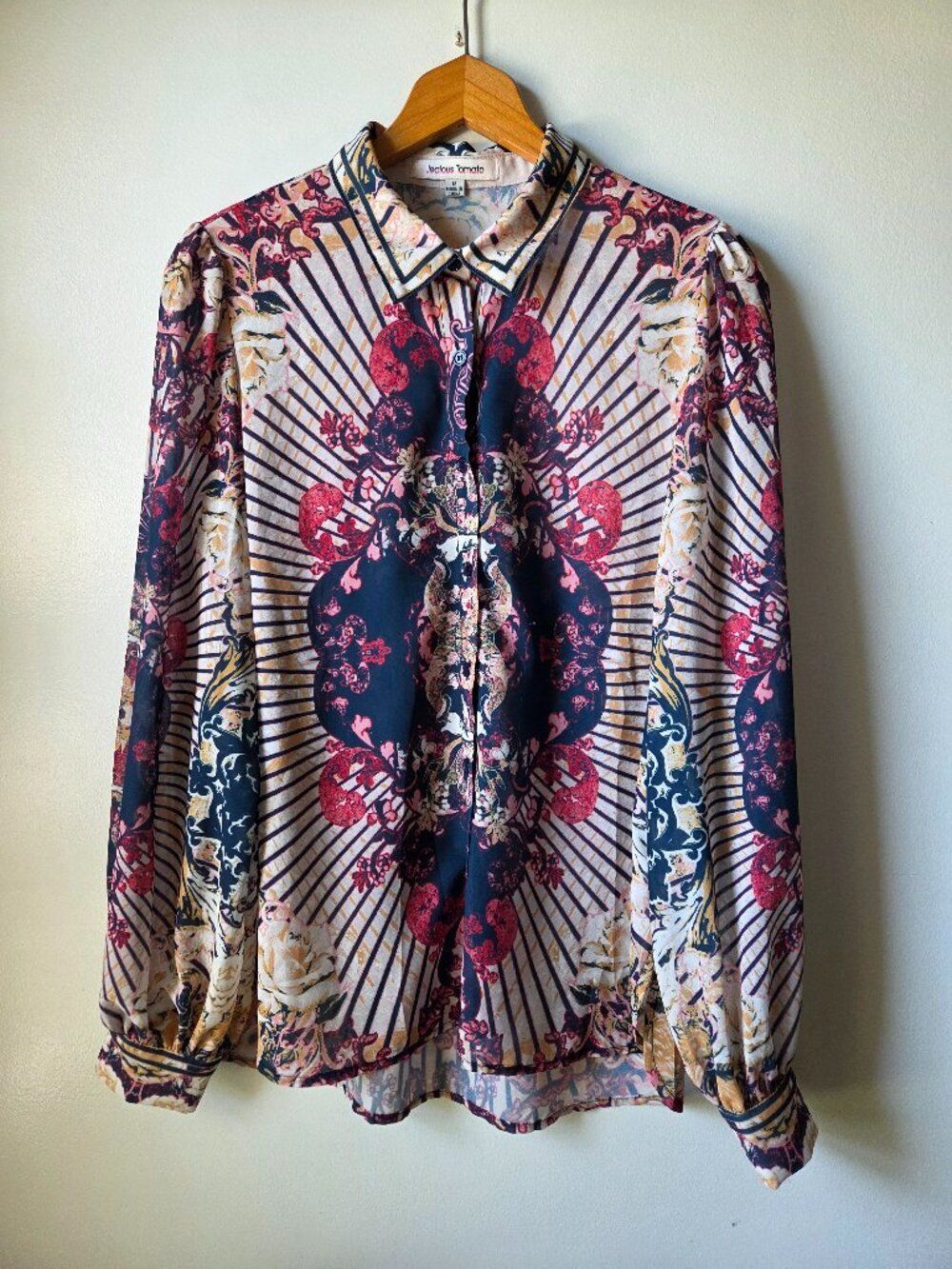 EUC LIKE NEW JEALOUS TOMATO ARTIST LONG SLEEVE BUTTON DOWN SHIRT SIZE M